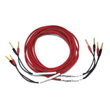INTRO 2M/3M/5M Loudspeaker Cable with Ferrites - Pair