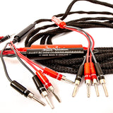 Duet BiWire Classic