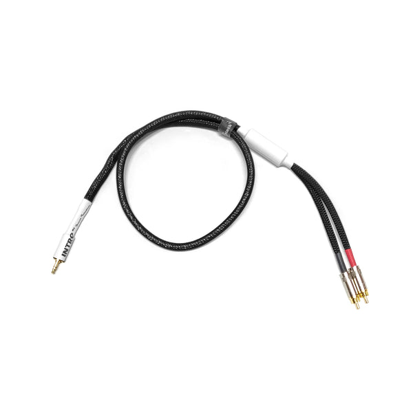 INTRO 3.5mm to 2 x RCA